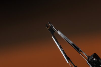 Tête de lecture_4334054393_l.jpg